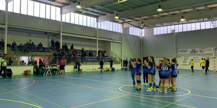 EL SEÑORÍO DE GUADIANEJA BM MANZANARES CIERRA EL AÑO CON UNA DERROTA (21-29)