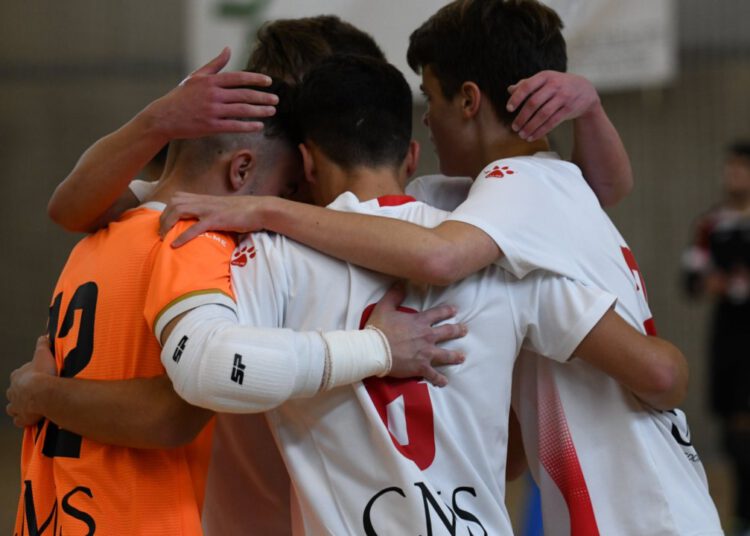 El Albacete FS solicitará plaza para la Liga Autonómica Juvenil