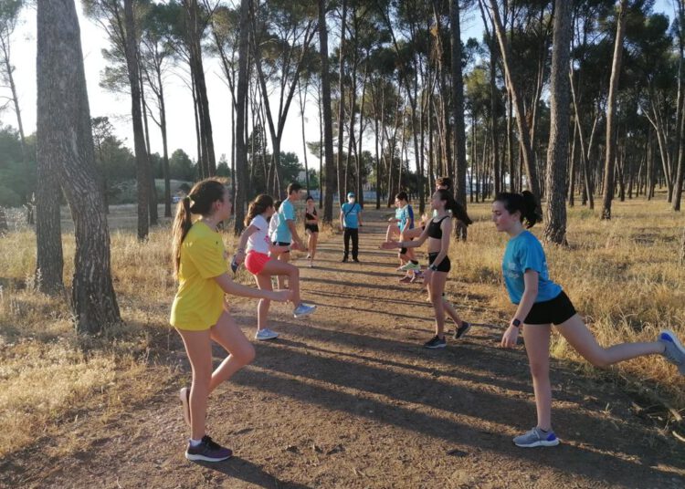 El TrainingRey regresa a los entrenamientos