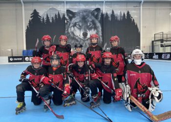 El pasado Sábado 26, el Club de Hockey de Albacete consiguió alzarse con el título de Liga Autonómica Murciana con las categorías Benjamín y Alevín, manteniéndose invicto durante toda la competición.