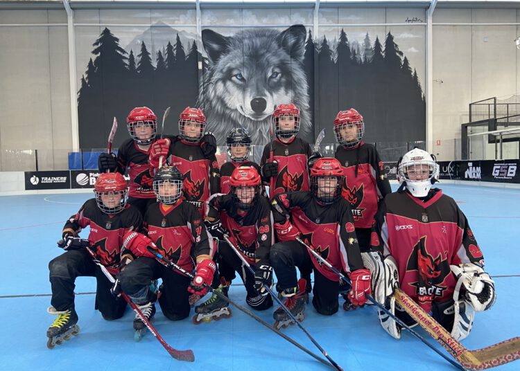 El pasado Sábado 26, el Club de Hockey de Albacete consiguió alzarse con el título de Liga Autonómica Murciana con las categorías Benjamín y Alevín, manteniéndose invicto durante toda la competición.